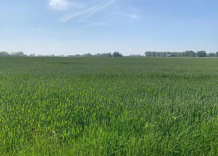 Retreat Apartamento *